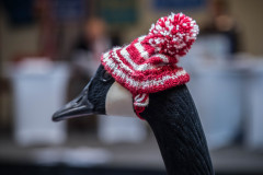 2017-Grand-Nest-Convention-270